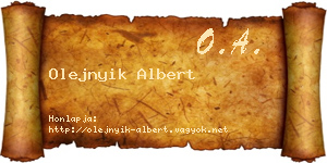 Olejnyik Albert névjegykártya